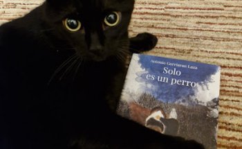 CLINICA VETERINARIA URDULIZ- Nieves Soler Ruiz