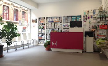 Clínica Veterinaria Campo Volantín | MiVet