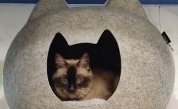 Clinica Veterinaria Bilbo Zoo