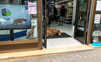 Euskalmushing Tienda Rekalde. Todo para mascotas. Consulta veterinaria