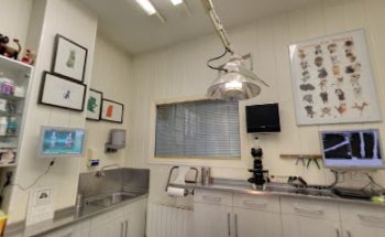 Clínica Veterinaria Karmelo