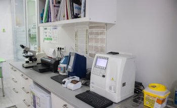 Centro de Rehabilitacion Veterinaria