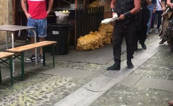 Clinica Veterinaria Landeta