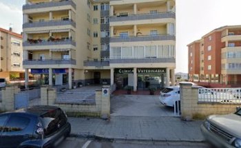 Jesús Viñuales Sanabria