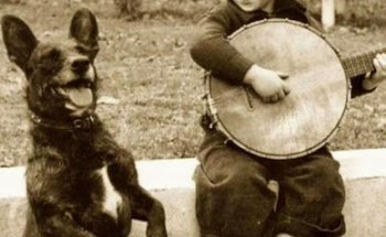 Clínica Veterinaria Aldea Moret