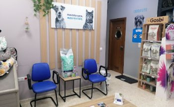 Clínica Veterinaria Ávila Rota