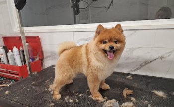 Salón de Belleza Mimos - Peluquería canina y Consulta Veterinaria
