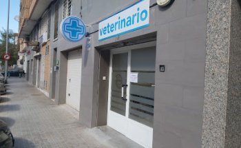 veterinario