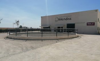 Méndez Hospital Equino