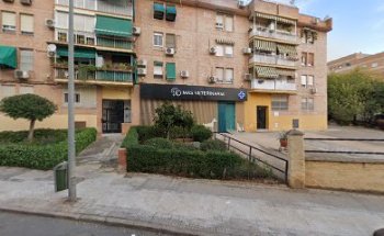 Vet-Express Clínica Equina