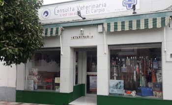 Consulta Veterinaria El Carpio