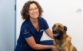 Clínica Veterinaria Mendiburu Albaitari Klinika