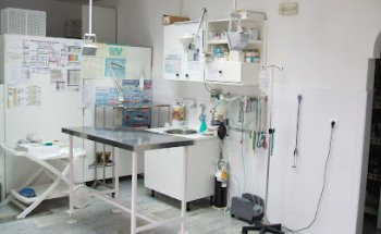 Centro Veterinario El Faro