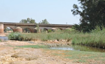 Clinica Veterinaria IC Niebla