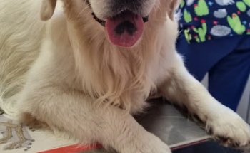 Clínica Los Barcos en Islantilla