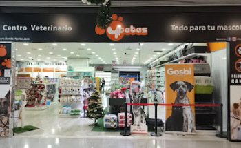 Veterinario 4Patas Vecindario