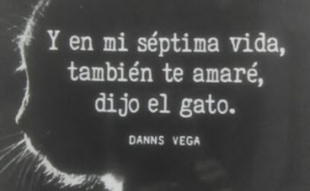 Clínica Veterinaria San Isidro