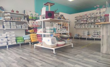 Clínica Veterinaria AriVet