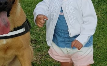 Centro Veterinario Arauna