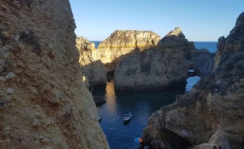 Campolar Servicios Veterinarios