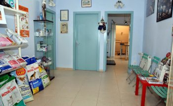 Clínica Veterinària J. Batlle