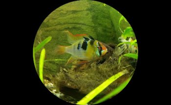 Consultorio Veterinario Las Gaunas