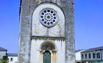 Comercial Veterinaria Mundizoo