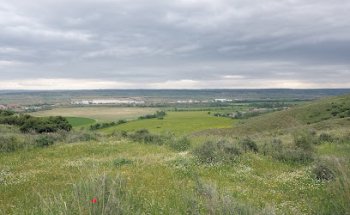 Veterinaria Vicalvaro