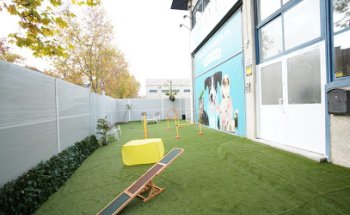 Vive - Resort para Mascotas