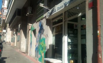 Chelsea Zona Mascotas