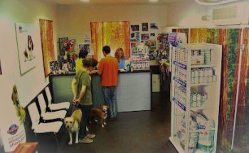 Peñascales Veterinario// Le atendemos en AniCura Velázquez Hospital Veterinario