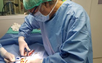 Clinica Veterinaria Orcasitas