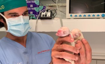 MalagaVet Estación de Cártama