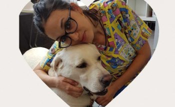 Solivet Veterinarios