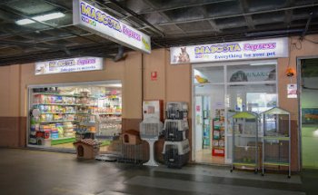 Mascota Express, Coin