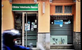 Clínica Veterinaria Álamos