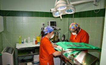 Balto Veterinary Hospital