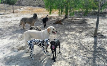 Parque Mediterráneo