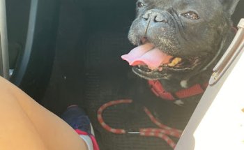 Clínica Veterinaria Roldán