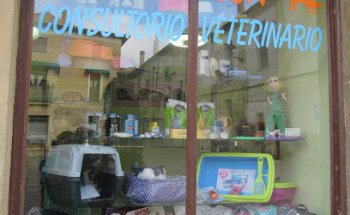 Consultorio Veterinario Huesitos.com