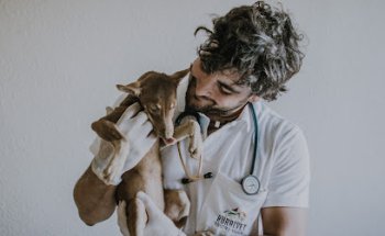 RURALVET CENTRO ANIMAL