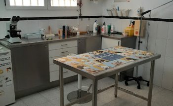 Clínica Veterinaria S'Arenal