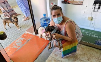 Consulta Veterinària Mascotes Bunyola