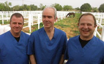 Clínica Equina Mallorca