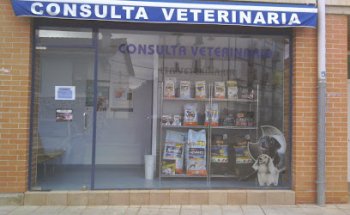CONSULTA VETERINARIA AOIZ