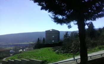 ADIESTRAMIENTO CANINO NAVARRA