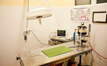 Centro Veterinario Los Duranes