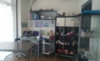 Clinica veterinaria Icaro