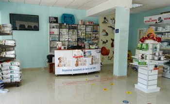 Clinica Veterinaria Canina San Miguel