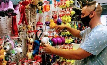 MOISES Acuarios & Mascotas